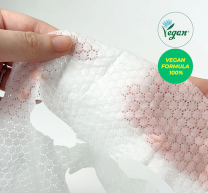 Vegan Herb Hydro Fix Mask (27mlx10ea)