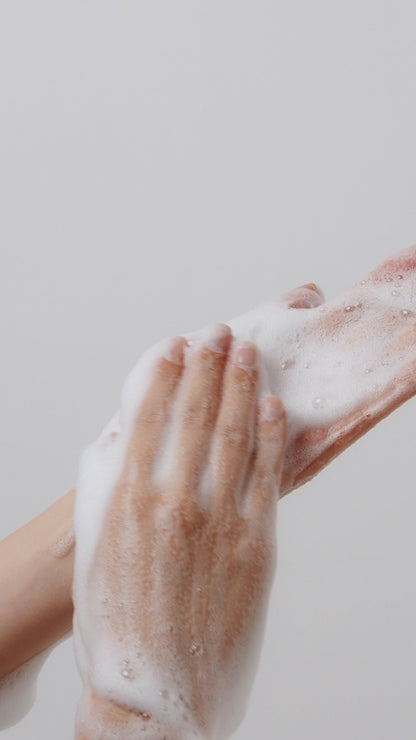 Vegan Herb AHA Mildy Acidic Cleansing Foam